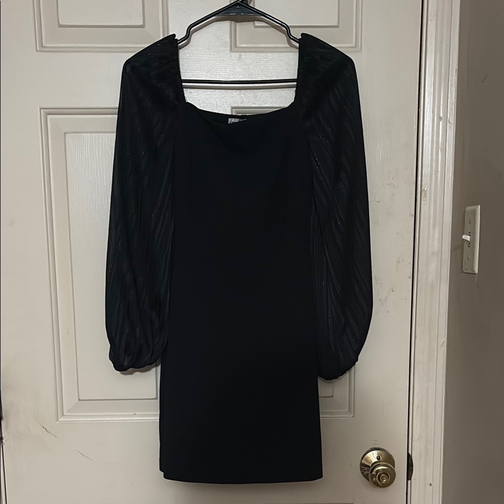 Elegant Black Dress with Sheer Sleeves